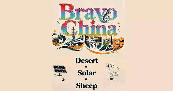 Bravo China! – Desert ● Solar ● Sheep