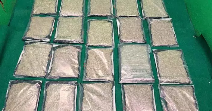 Hong Kong Customs Seizes 10kg of Cannabis Buds in Airport Drug Trafficking Case.
