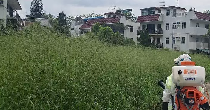 FEHD Releases July Gravidtrap and Density Indexes for Aedes albopictus Across 12 Survey Areas