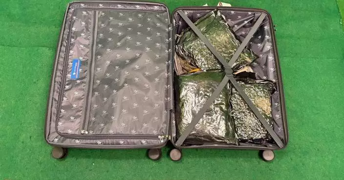 Customs Seizes 22kg of Cannabis at Hong Kong Airport, Three Arrested in Trafficking Cases.