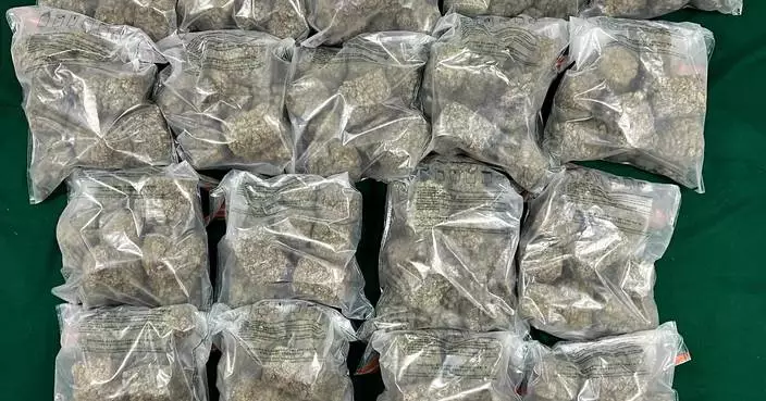 Hong Kong Customs Seizes 28.6 kg of Cannabis, Arrests Two in Major Drug Bust
