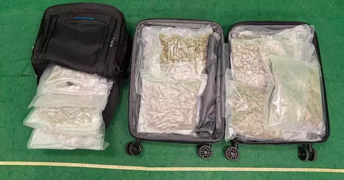 Hong Kong Customs Seizes 3.9 kg of Cannabis, Two Men Arrested at Airport