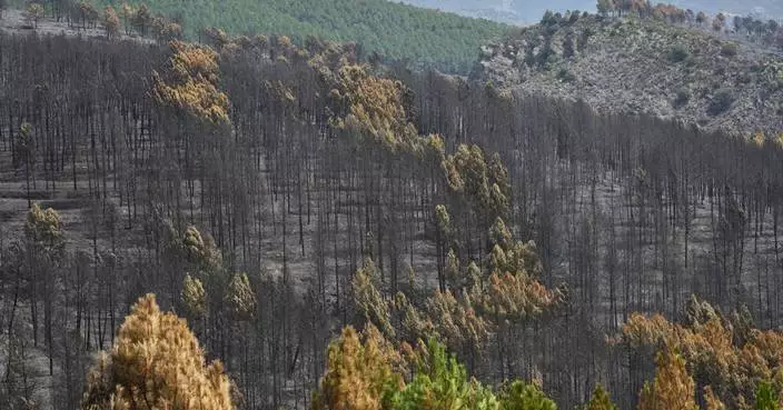 Firefighters in central Spain battle huge wildfire during heat wave