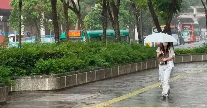 Labour Department Urges Safety Measures Amid Rainstorm Warning for Electrical Work