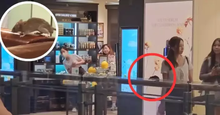 FEHD Acts on Rodent Sightings at Mong Kok's Langham Place, Urging Improved Cleaning and Anti-Rodent Measures