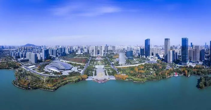 Foreign visitors get a close look at Hefei's emerging tech sector