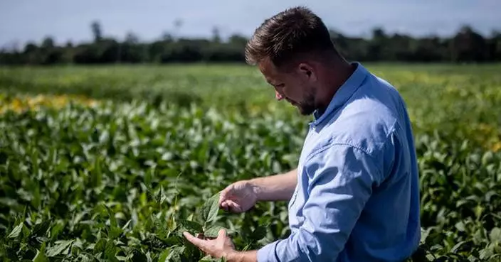 BASF Agricultural Solutions starts global registration of novel PPO herbicide Replexor™ Active