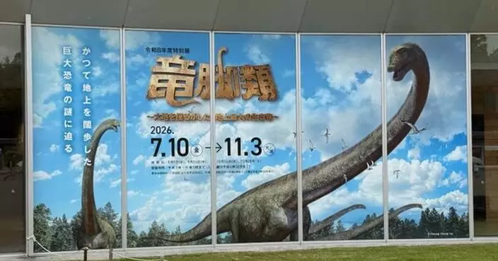 Sauropods in Katsuyama: Standing Beneath the Giants That Shook the Earth at Fukui Prefectural Dinosaur Museum