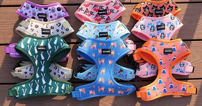 Dog Harness Manufacturer OKEYPETS Launches Neoprene and Air-Mesh Harness Collections for Global Pet Brands