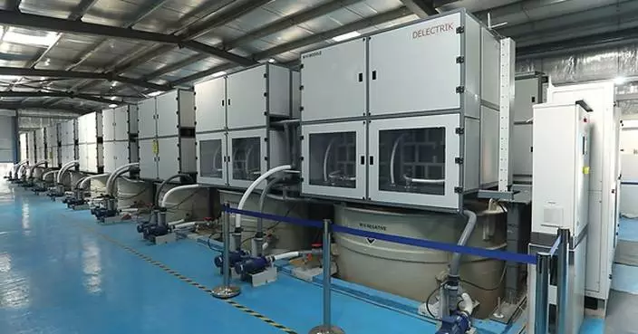 Delectrik Systems to Deploy India's First Utility Scale Flow Battery of 100 MWH Capacity