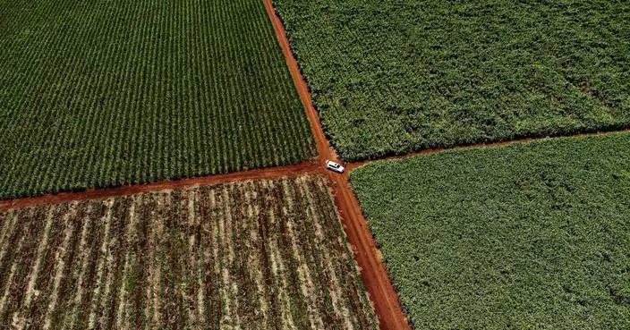 Court fight begins over South Africa’s land law that irks the Trump administration