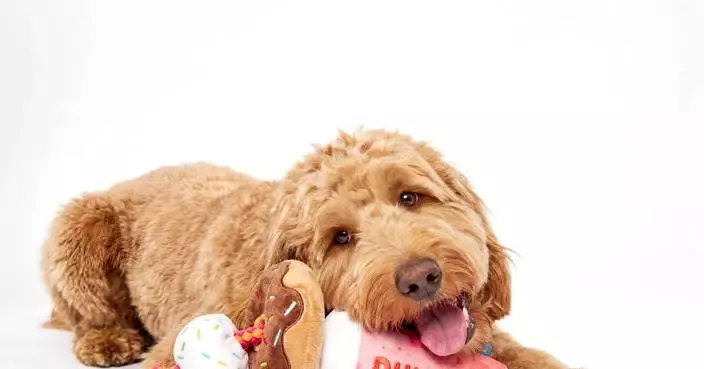 BARK® and Dunkin'® Launch Dunkin's First Official Dog Drive-Thru Experience and New Dog Toy Collection