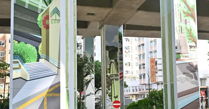 District governance: Estate upgrades put focus on well-being