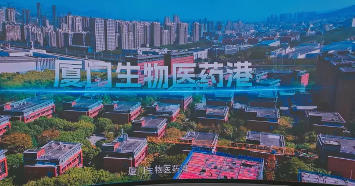 From Lab to Global: Xiamen Bio Bay Nurtures Over 10 Hong Kong University Projects, Local Biotech Firm Eyes International Push via Hong Kong