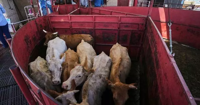 Economists don't expect reopening the US to Mexican cattle imports to reduce high beef prices