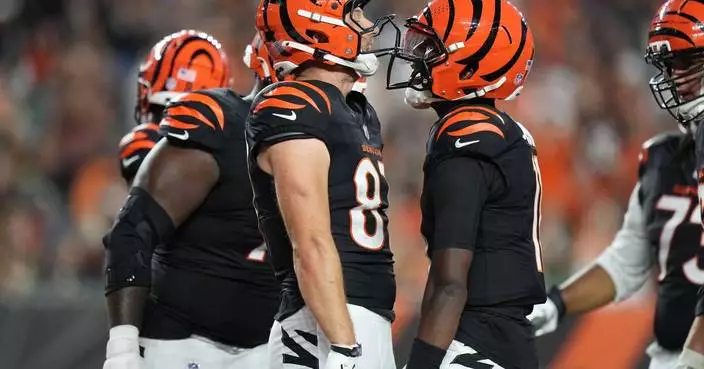40-year-old journeyman QB Josh Johnson leads Bengals to 27-9 preseason victory over Bears