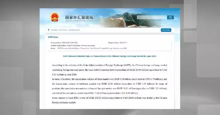 China's foreign exchange market posts turnover of 28 trln yuan in June