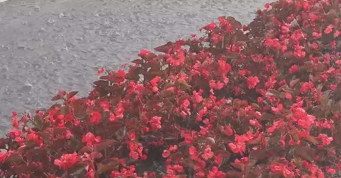 Heavy rain hits many parts of China