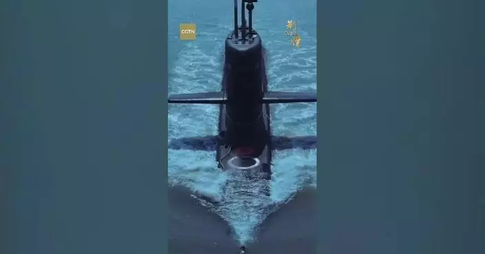 PLA Navy safeguards China's territory from sky to sea
