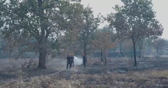 French PM says wildfires “under control”