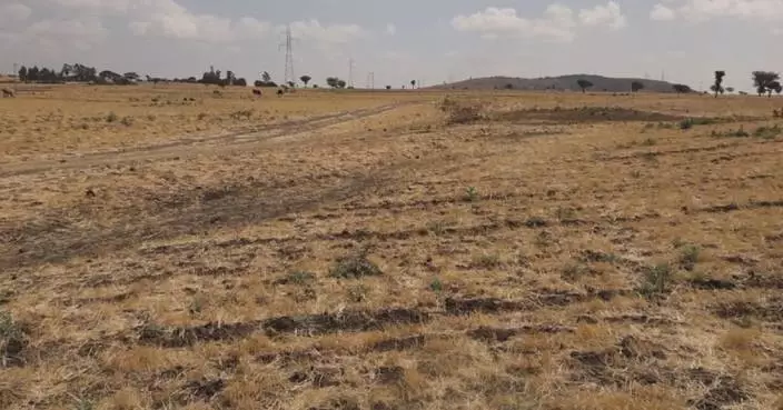 AU calls for El Nino preparedness across Africa