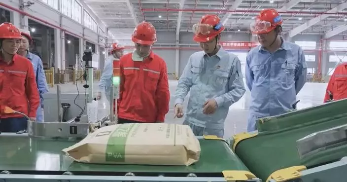 World's largest single-site high-end PVA production base launched in Chongqing
