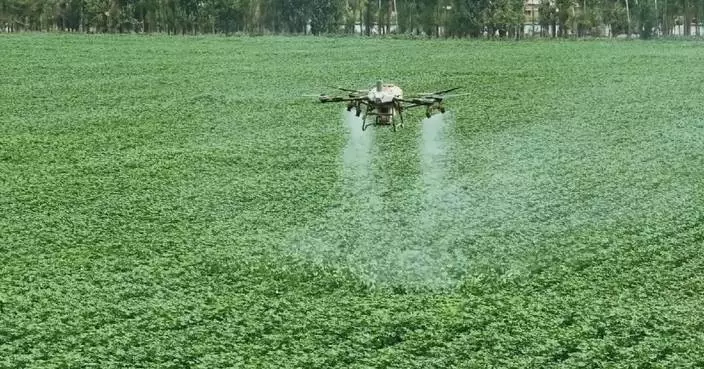 China ramps up efforts to ensure agricultural production amid heatwave