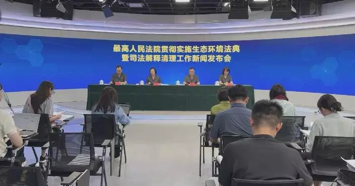 China issues judicial interpretation on Ecological and Environmental Code