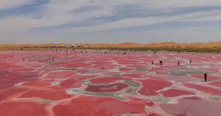 Salt lakes in Tengger Desert draw tourists with mesmerizing colors