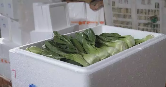 China-Laos railway transportation plays key role in cold chain vegetable exports