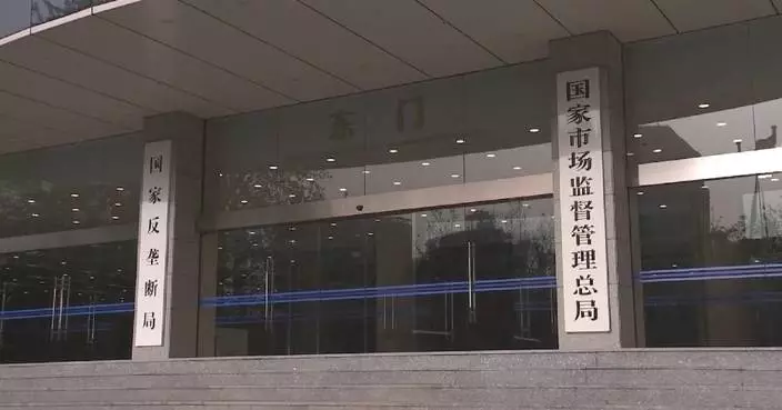 China's business entities see improved structure in January-June period