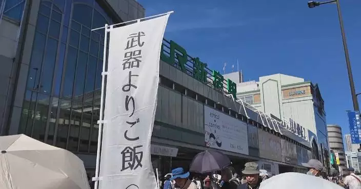 Japanese citizens rally against military expansion, nuclear policy revisions