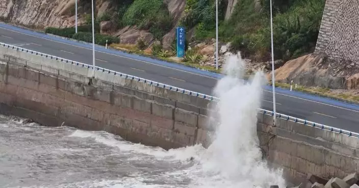 Fujian raises emergency responses for Typhoon Dolphin