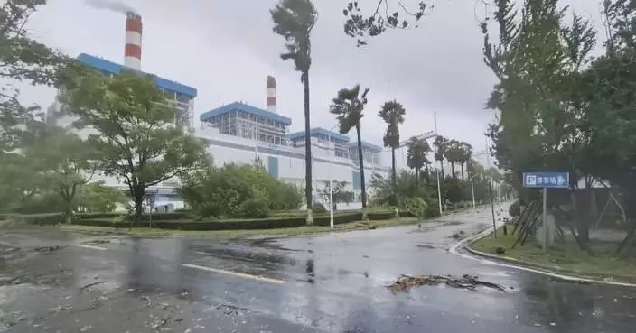 Industrial cameras record violent winds, torrential rains brought by Typhoon Dolphin