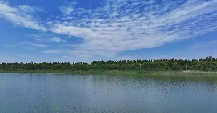 China reports continued environmental improvement in Jan-July