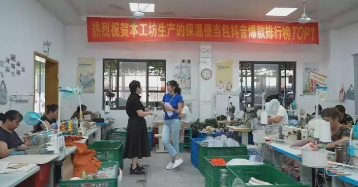 Village workshops create near-home jobs for rural women in Zhejiang