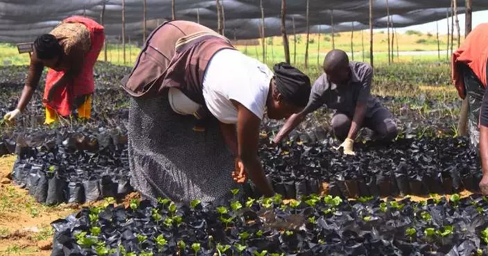 Duty-free access offers Nigerian farmers, manufacturers golden ticket to Chinese market