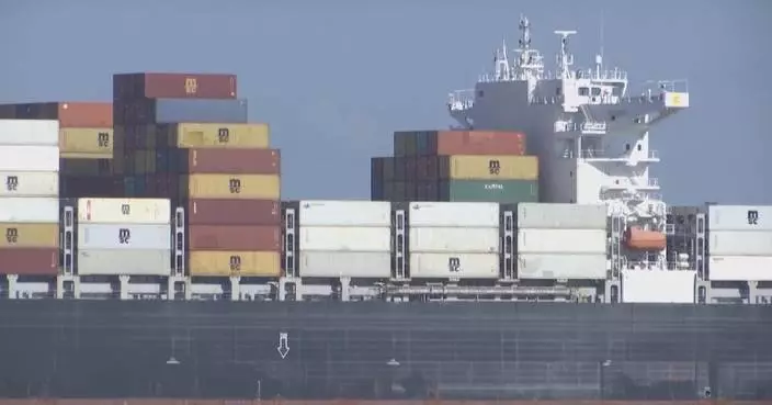 S African products remain competitive despite US tariffs: economist