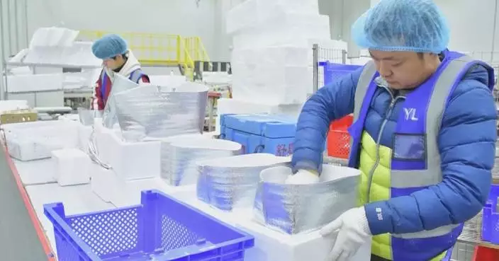 China's cold-chain logistics growing in H1 with rebounding demand, faster green transformation