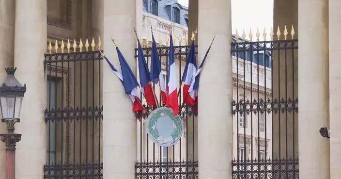 French Constitutional Council strikes down social media ban for children under 15