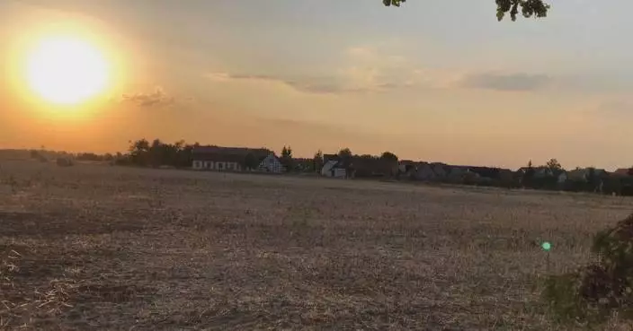 Heat, drought threaten German crop, livestock output: farmers' association