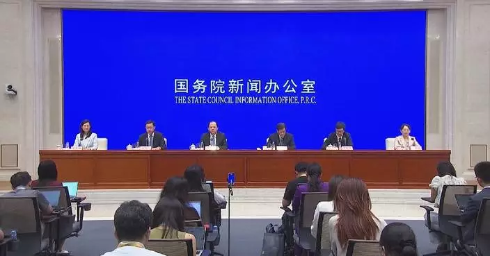 China adopts targeted strategies to boost county-level consumption: commerce official