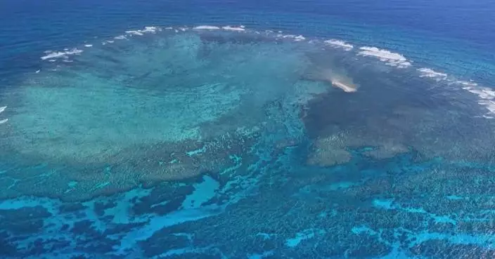 South China Sea marine ecology stable in 2025: reports