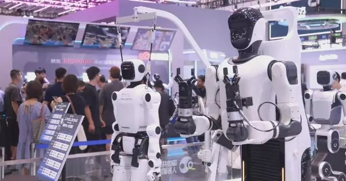 World Robot Conference features real-life applications