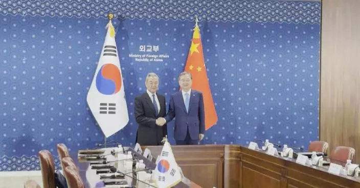 Chinese, ROK foreign ministers hold talks in Seoul