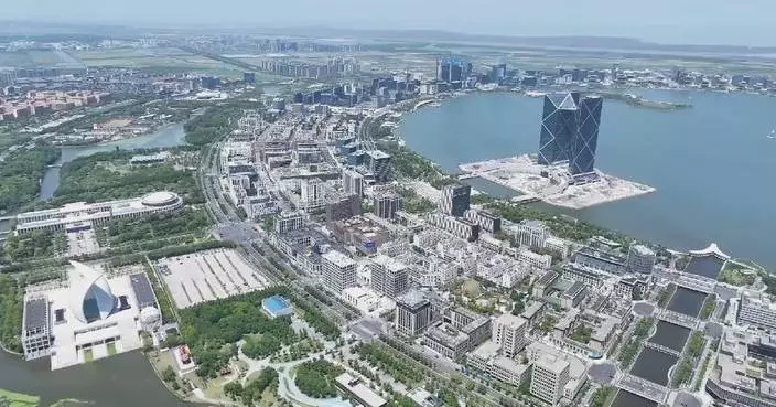 Fast-developing free trade zones fuel China's high-level opening-up
