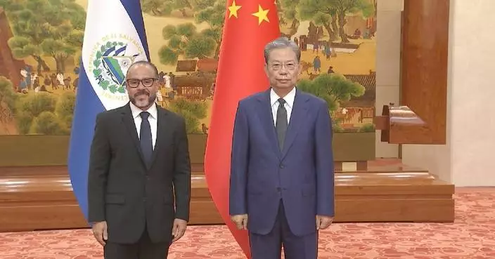 China's top legislator holds talks with president of El Salvador's Legislative Assembly