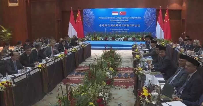Chinese FM calls for stronger all-round cooperation with Indonesia to tackle risks, challenges