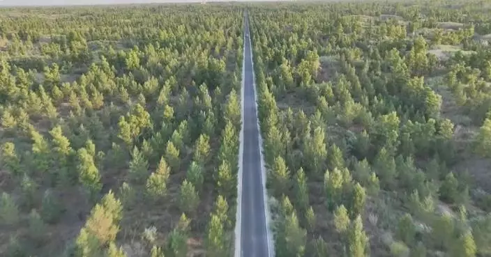 American teacher marvels at China’s desert turned forest