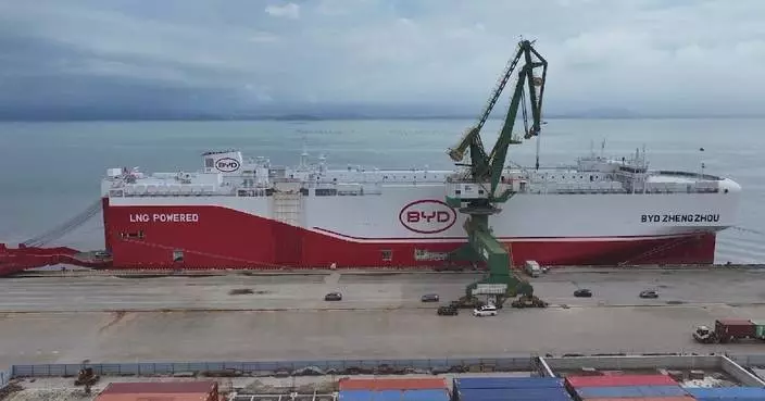 Fujian records largest single load of export vehicles